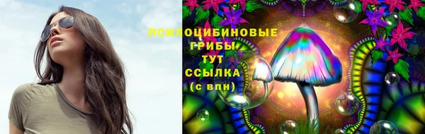 герыч Балахна