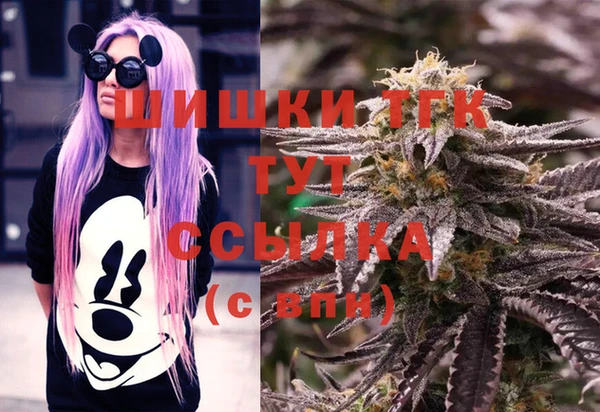 дмт Тобольск